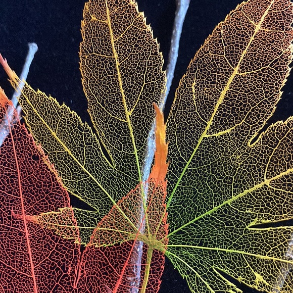 Japanese Maple Leaf Lines Framed Art - Picture 6 of 10